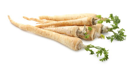 Many fresh parsley roots isolated on white