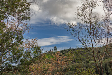 Obraz premium Breathtaking view of lush green hill and blue sky with white clouds
