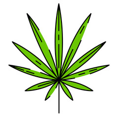 Illustration of stylized palm leaf. Decorative image of tropical foliage and plant.