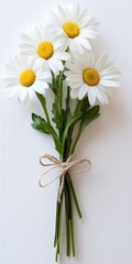 Obraz premium Bouquet of Fresh White Daisies Tied with Rustic Twine on White, Minimalist Floral Arrangement