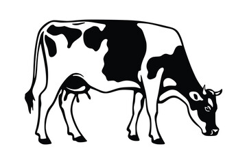 Vector drawing of cow isolated on white background, vector design