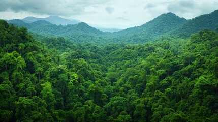Obraz premium Stop pollution sustainability concept. Lush green rainforest landscape with distant mountains under cloudy sky.