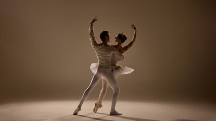 Partners perform in graceful unison, ballerina's tutu lifts with movement, soft light tracing refined lines, dance frozen in perfection. Concept of expression, poise, harmony, classical beauty.