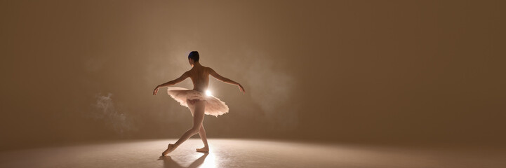 Banner. Ballerina moves alone in dreamlike pirouette, golden glow embracing soft tutu, delicate pose filled with strength and grace. Concept of freedom, movement, expression, rhythm, art, elegance. © Lustre Art Group 