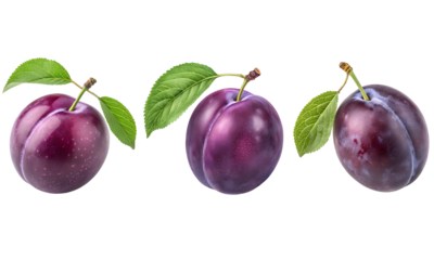 Plum fruits set, Fresh plums fruit isolated