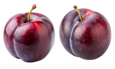 Plum fruits set, Fresh plums fruit isolated