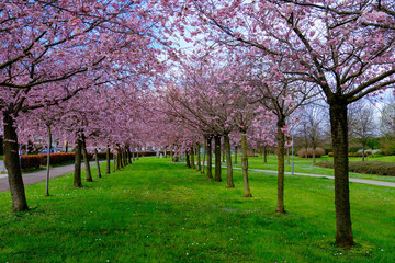 Rho Fiera park near Milan, Italy