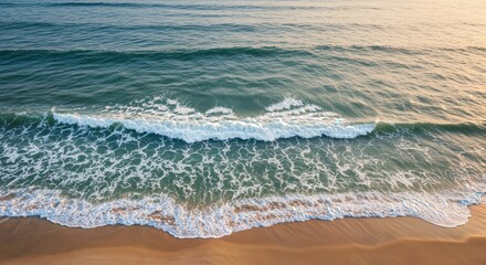 Tropical beach by the wavy ocean background