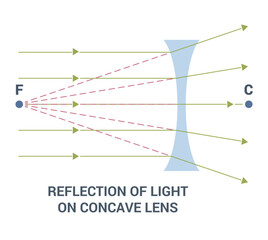 Light Reflection as it interacts with a Concave Lens in a visual context