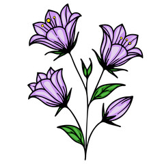 A vector vibrant illustration of three purple bellbellflowers with green leaves, showcasing a whimsical and artistic style.
