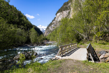 Junkerdalsura Naturreservat - Norwegen - Junkerdalen 15