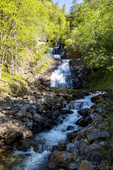 Junkerdalsura Naturreservat - Norwegen - Junkerdalen 13