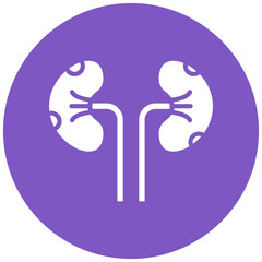 Kidney Function Icon
