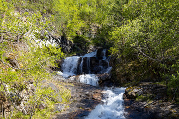 Junkerdalsura Naturreservat - Norwegen - Junkerdalen 9