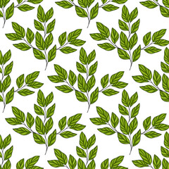 A vector seamless pattern featuring green leaves on a white background, showcasing various leaf shapes and sizes, ideal for textile or wallpaper design.