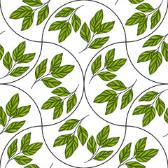 A vector seamless pattern featuring green leaves arranged in circular shapes on a white background. The design showcases various leaf shapes and sizes, creating a fresh and natural aesthetic.