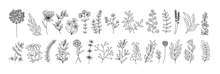 Set of tiny wild flowers and plants line art vector botanical illustrations. Trendy greenery hand drawn black ink sketches collection. Modern design for logo, tattoo, wall art, branding and packaging.