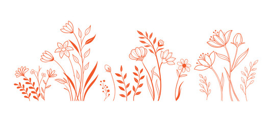 set consistent line art and wild flowers wild fresh silhouette vector