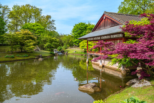 Japanese Garden with Pond, Park in Hasselt Belgium