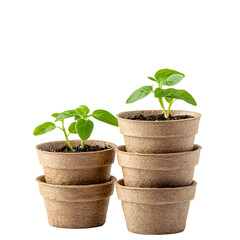 stack of biodegradable seedling pots