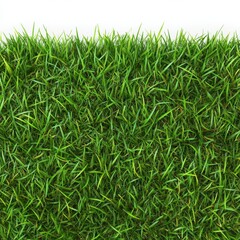 Obraz premium Lush green grass texture background perfect for spring summer design and natural lawn freshness capturing the vibrant color and organic feel with a clean white background
