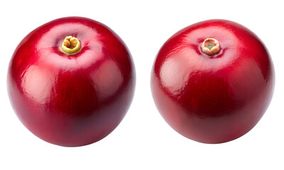 Cranberry set, Set of Cranberries, Berries isolated