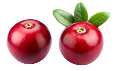 Cranberry set, Set of Cranberries, Berries isolated