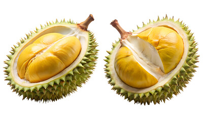 Durian fruits set, fresh fruits sliced isolated
