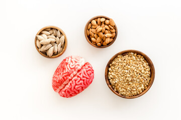 Healthy food for the brain. Human brain model with nuts and grain, top view