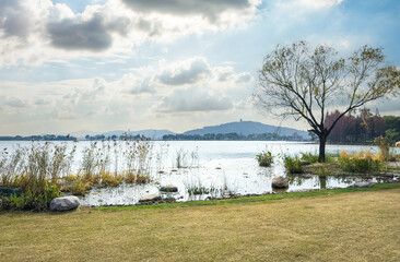 Tranquil Lakeside View with Lush Greenery and Distant Mountains