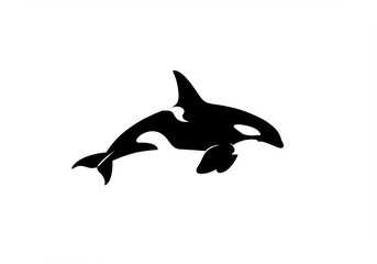 Obraz premium orca, killer whale, black and white, stylized silhouette, marine life, ocean predator, sleek design, graphic illustration, minimal art, bold contrast, curved lines, iconic