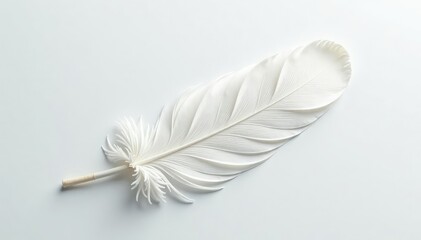 Obraz premium Crisp white feathers on pristine white surface, downy, art, picture