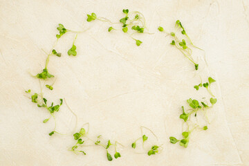 Different kind of microgreen on white background. Mix of micro green shoots. Healthy food