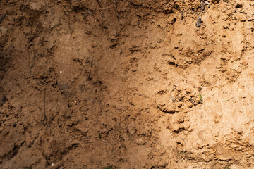 dry, textured soil with uneven surface, small cracks, and scattered organic particles, natural earthy background, agriculture, environment, geology, growth, sustainability, drought, land development