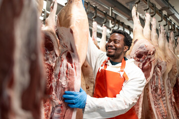 Professional butcher or food worker moving raw meat to the production line.