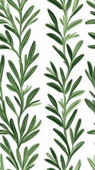 Lush green rosemary sprigs create a vibrant vertical pattern perfect for culinary or botanical designs showcasing the aromatic herb's beauty and natural elegance on a white