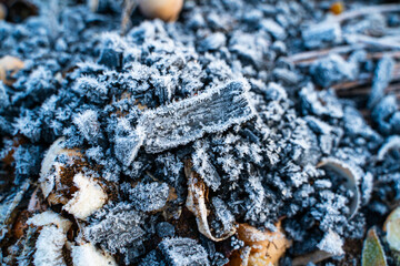 Ash from the fireplace on a compost heap in winter close-up in frost