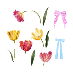 tulips set of bright spring illustrations with tulip flowers leaves and bows