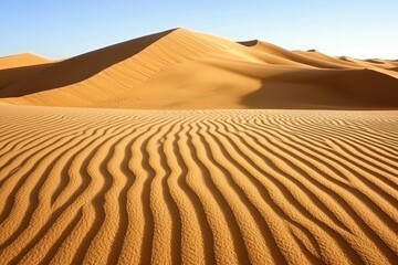 Desert Dunes at Sunset: Expansive sand dunes, golden and rippling under the fading sunlight, with subtle wind patterns visible on the surface