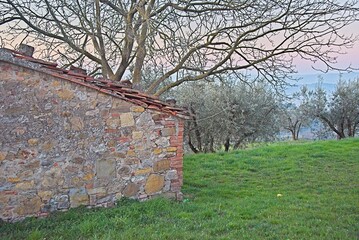 Sunrise in Rural Monteleone d'Orvieto, Umbria, Italy
