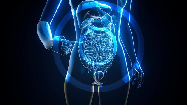 Conceptual animation of the gut microbiome