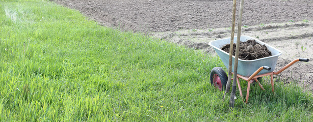 garden wheelbarrow with compost and pitchfork with shovel on the background of plowed field and lawn. application of fertilizers to improve soil