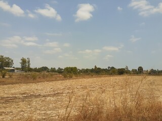 Drought in rural Thailand during summer