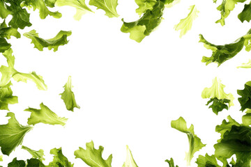 Fresh Green Lettuce Leaves Falling in a Culinary Setting