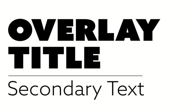 Sleek Text Animation 05