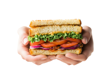 Hands holding a fresh sandwich with vegetables and sauce