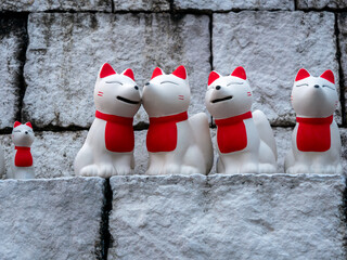 Fox Companions at Doi Phra Chan