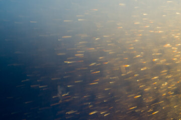 Blurred bokeh light sparkle on golden black background