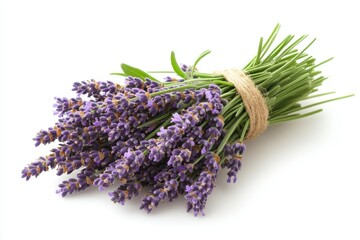 Aromatic Lavender Bouquet Tied with Jute Twine on White Background Capturing Floral Fragrance and Natural Beauty in Studio Shot