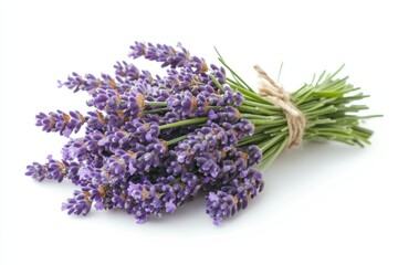 Captivating Lavender Bouquet on White Backdrop Freshly Cut Aromatic Purple Flowers Tied with Twine
